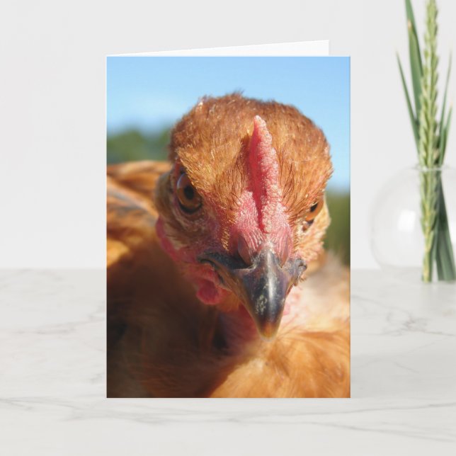 Tarjeta Pullet turcomano (Anverso)