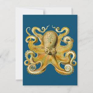 Tarjeta Pulpo - Ernst Haeckel