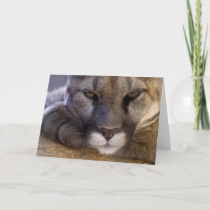 Tarjeta Puma