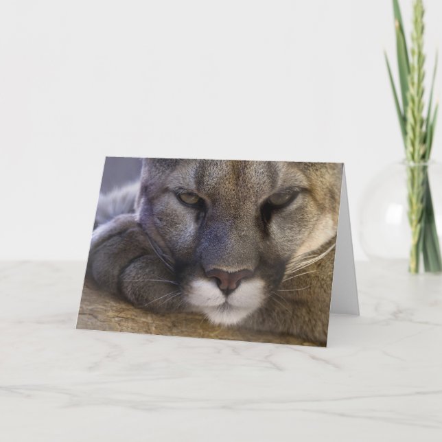 Tarjeta Puma (Anverso)