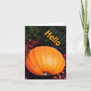 TARJETA PUMPKIN ENTRE LAS FLORES (FOTOG)