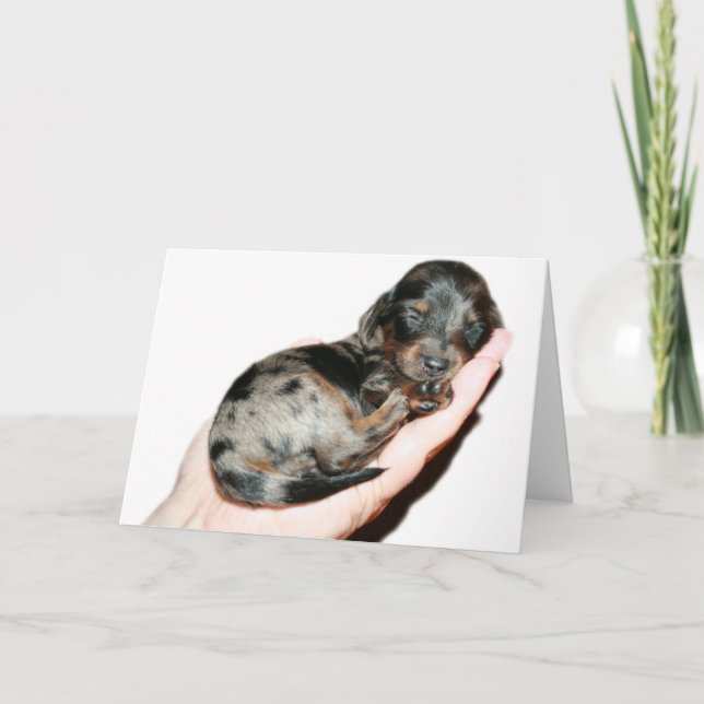 Tarjeta Puñado (Anverso)