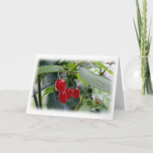 Tarjeta Puntos rojos otoñales