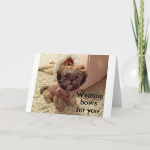 TARJETA PUP LLEVA SUS BOWS EN TU CUMPLEAÑOS