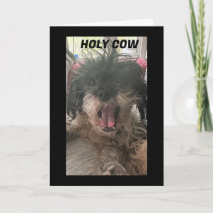 TARJETA ¡PUP NO PUEDE CREERLO! U R "40"