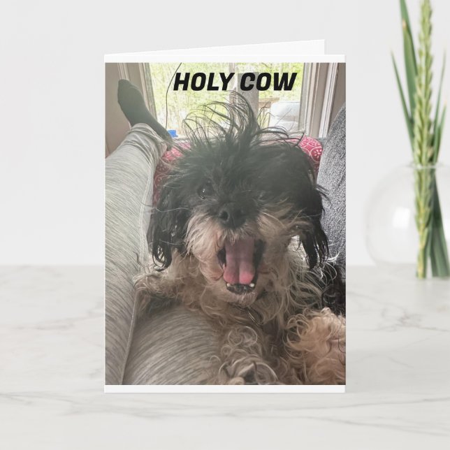 TARJETA ¡PUP NO PUEDE CREERLO! U R "40" (Anverso)