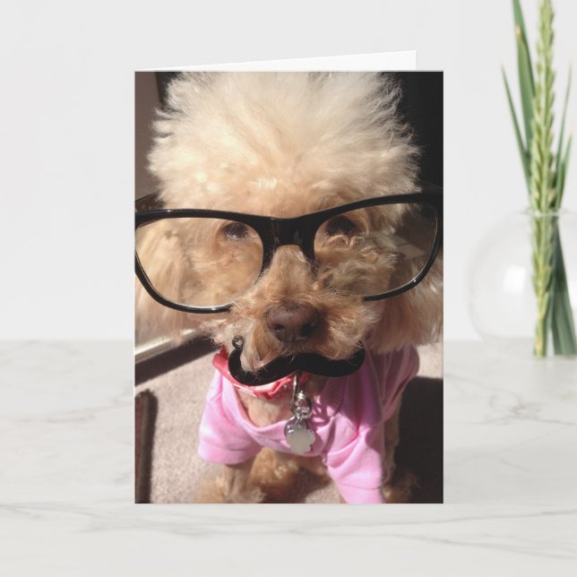 Tarjeta Puppy Birday Card (Anverso)