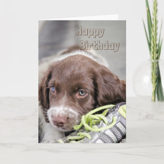 Tarjeta Puppy Birday card (Anverso)