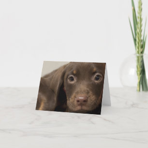 Tarjeta Puppy Dog Blank Note Card