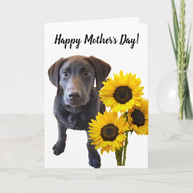 Tarjeta Puppy y Sunflowers Pun de Black Lab (Anverso)