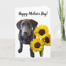 Puppy y Sunflowers Pun de Black Lab