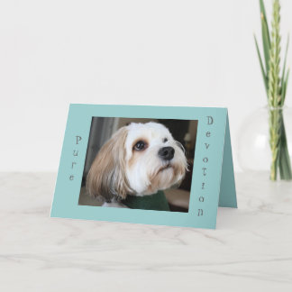 Tarjeta pura de la dedicación