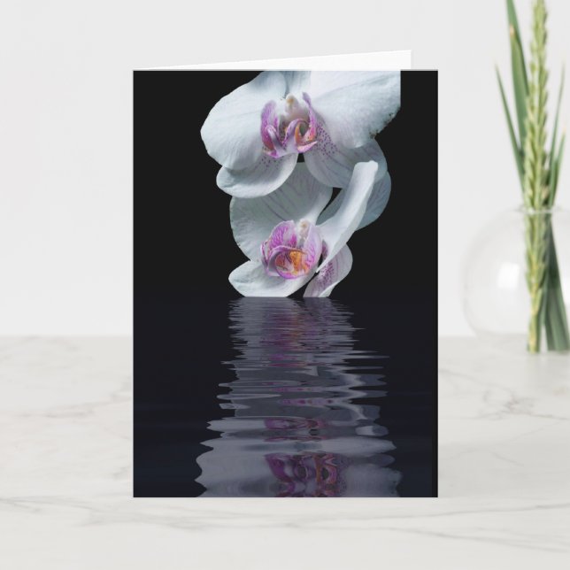 Tarjeta Pureza (Anverso)