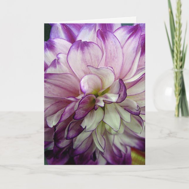 Tarjeta Purple Dahlia Design Blank Notecard (Anverso)