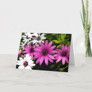 Tarjeta Purple Daisy