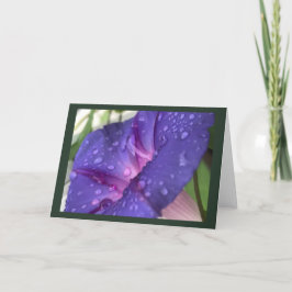 Tarjeta Purple Dewdrop Morning Glory Blank