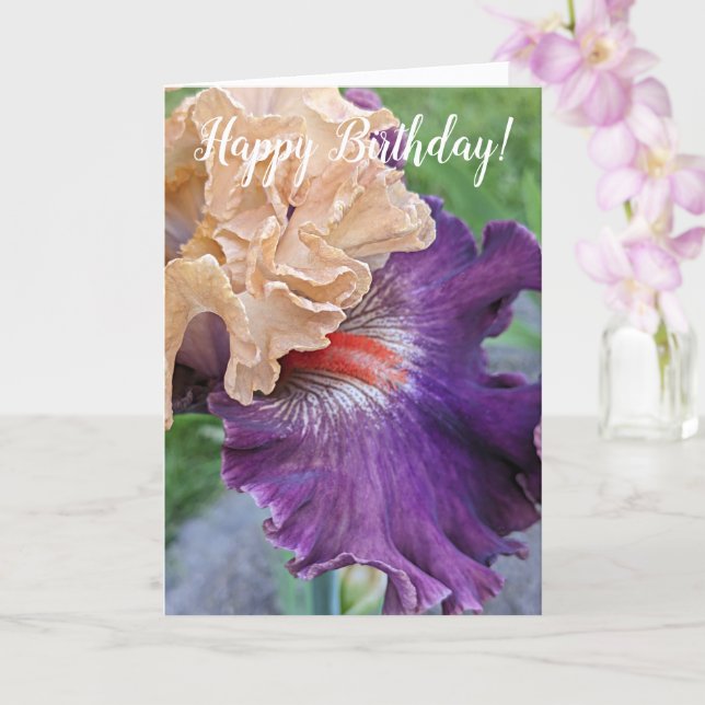 Tarjeta Purple Iris Bloom Aniversario Floral (Orquídea)