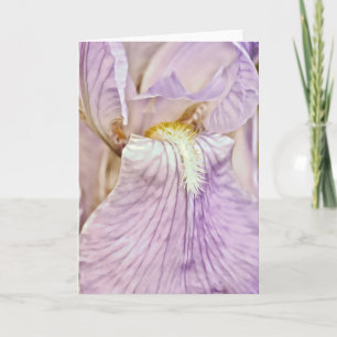 Tarjeta Purple Iris Close Up Scripture Card Salm 16:6