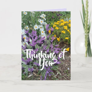Tarjeta Purple Lavender Daisy Flor Floral Pensando en ti