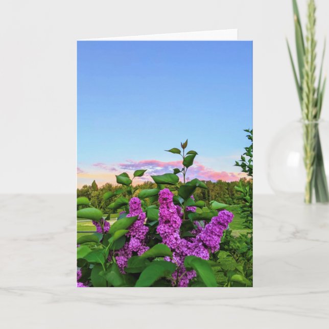 Tarjeta Purple Lilac Blank (Anverso)