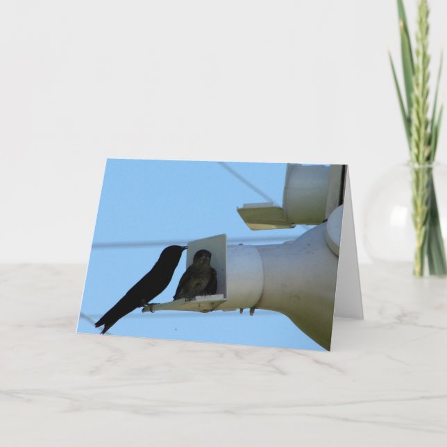 Tarjeta Purple Martins (Anverso)