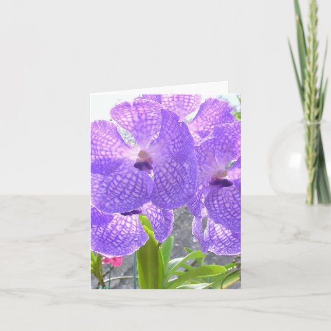 TARJETA PURPLE ORCHID (Anverso)