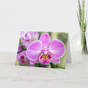 Tarjeta Purple Orchid dice hola