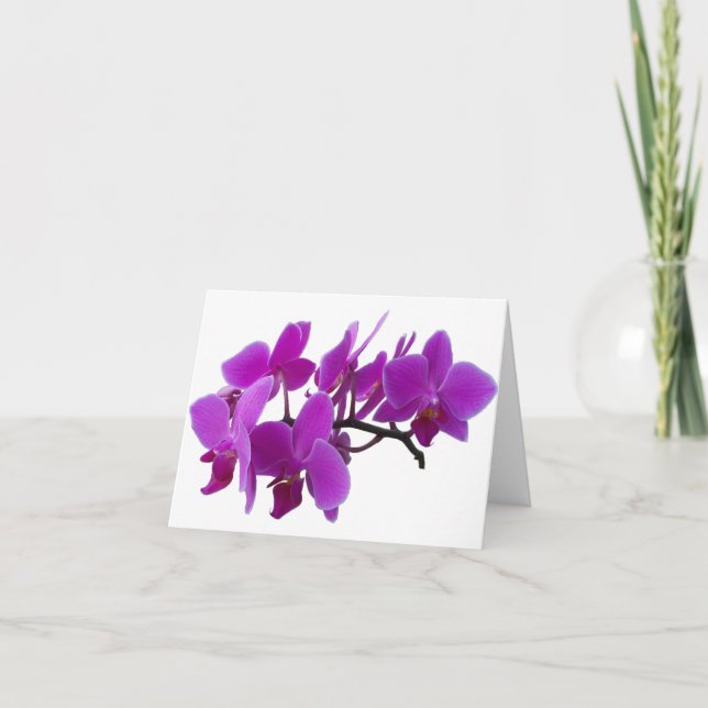 Tarjeta Purple Orchids Blank (Anverso)