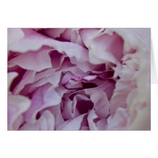 Tarjeta Purple Peony