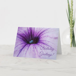 Tarjeta Purple Petunia Flower Birday Greetings