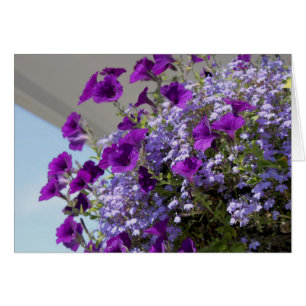 Tarjeta Purple Petunias 5x7