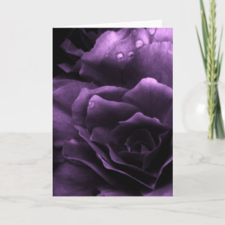 Tarjeta Púrpura cercana para arriba de una begonia doble