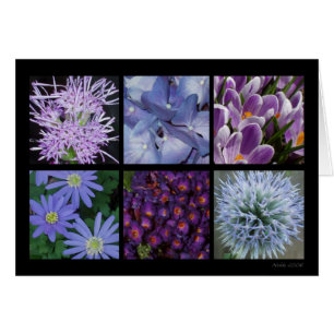 Tarjeta púrpura de la flor