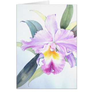 Tarjeta púrpura de la orquídea de Cattleya (5" X