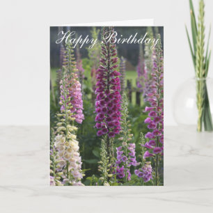 Tarjeta púrpura de los foxgloves…