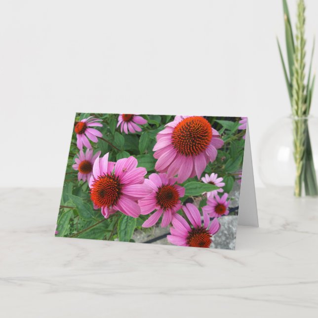 Tarjeta Púrpura Echinacea Ecclesiastés Biblia Verse Cumple (Anverso)