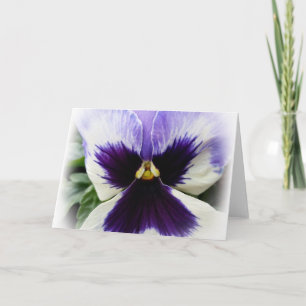 Tarjeta púrpura profundo sobre la marsopa blanca