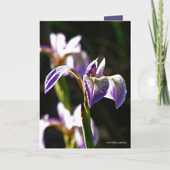 Tarjeta Púrpura salvaje (Anverso)