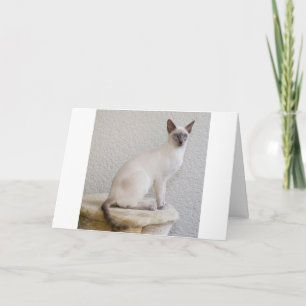 Tarjeta Purr Meow Kitty Destiny, Mascota de gato siamés