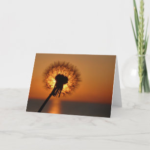 Tarjeta Pusteblume, Dandelion/