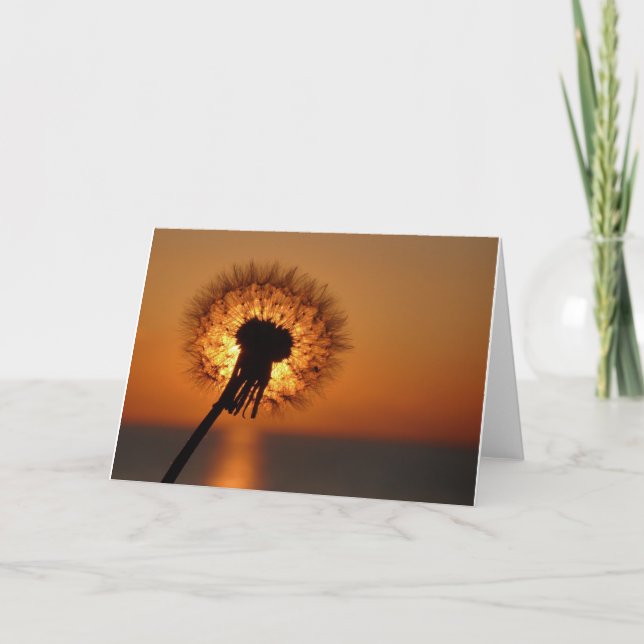 Tarjeta Pusteblume, Dandelion/ (Anverso)