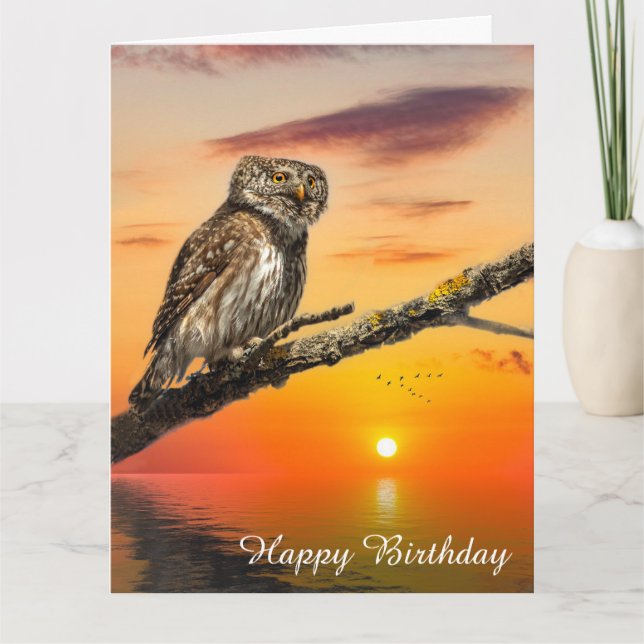 Tarjeta Pygmy Owl (Anverso)