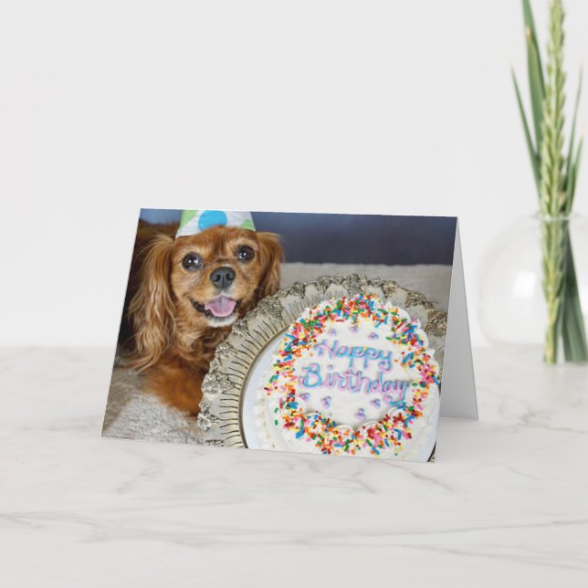 Tarjeta ¿Qué dieta? (Anverso)