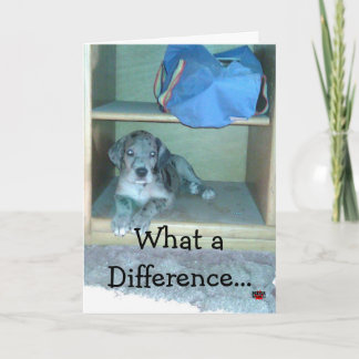 Tarjeta ¡¡¡Qué diferencia hace un año!!!