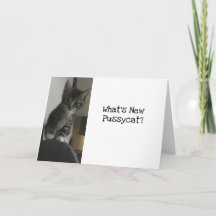 ¿Qué es la nueva pussycat?Gatito