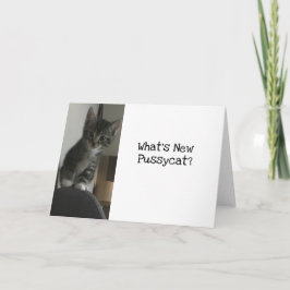 Tarjeta ¿Qué es la nueva pussycat?Gatito