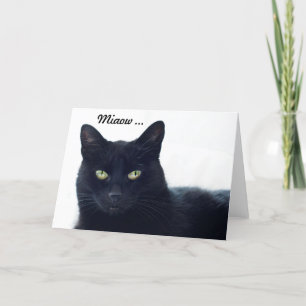 Tarjeta ¿Qué este gato nos dice en un cumpleaños?