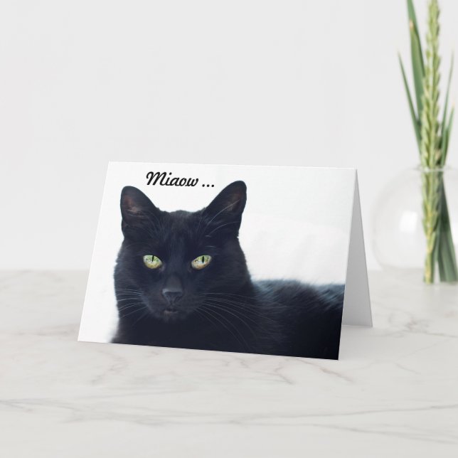 Tarjeta ¿Qué este gato nos dice en un cumpleaños? (Anverso)