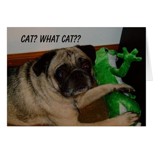 Tarjeta que falta del gato (Anverso (Horizontal))