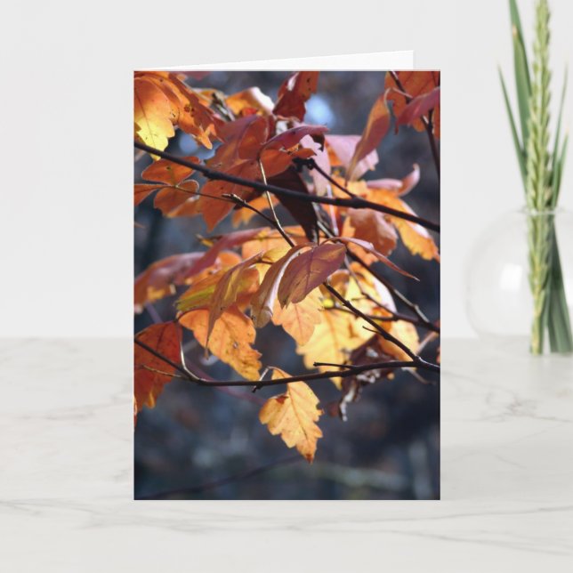 Tarjeta Que La Luz Brille (Anverso)